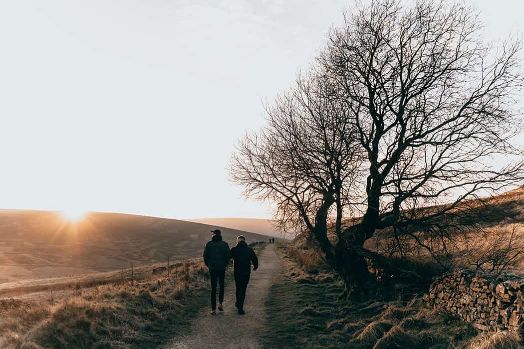 Wandelen Boom Natuur Lopen Bewegen Gezondheid Fitness Ontspanning Rust Stress Mindset