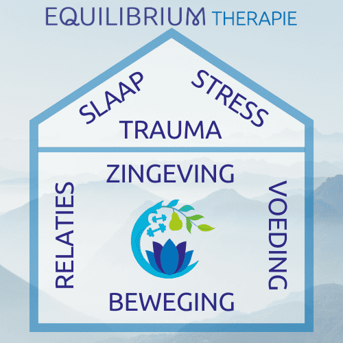 Equilibrium Levenshuis Slaap Stress Trauma Zingeving Beweging Voeding Relaties