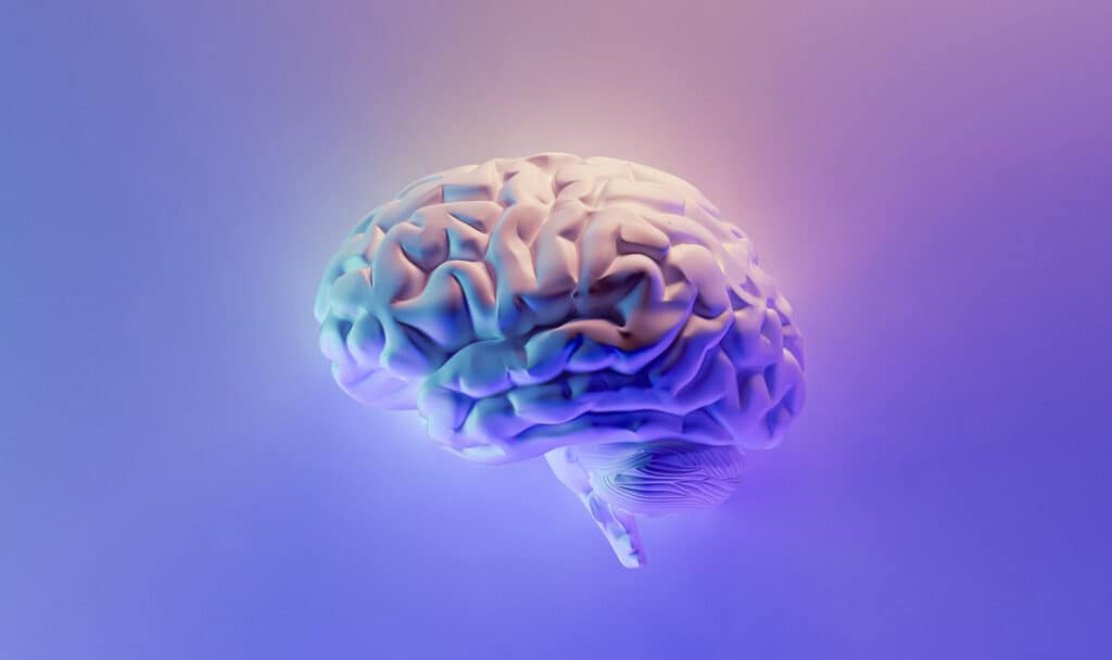Brein Live The Connection Ontstressen Herprogrammeren Stress Slaap Trauma Fobie Angst Vrees Neuraal